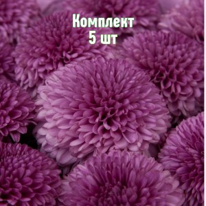 Комплект 5шт / Хризантема Густав